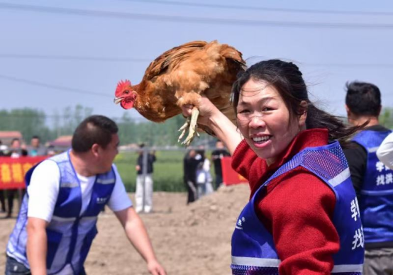 微信图片_20260506094647_1198_56.png