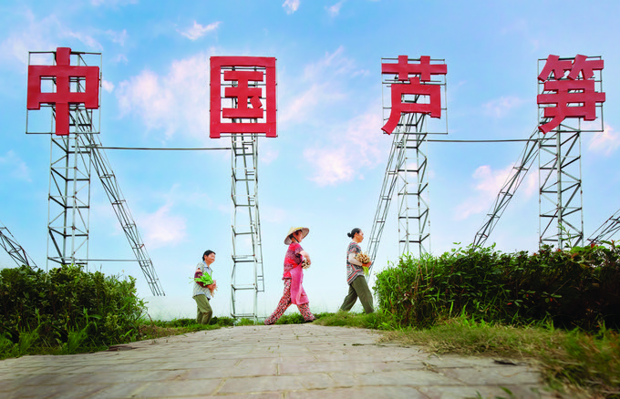 一碗面 (2).jpg 一碗面 (2).jpg